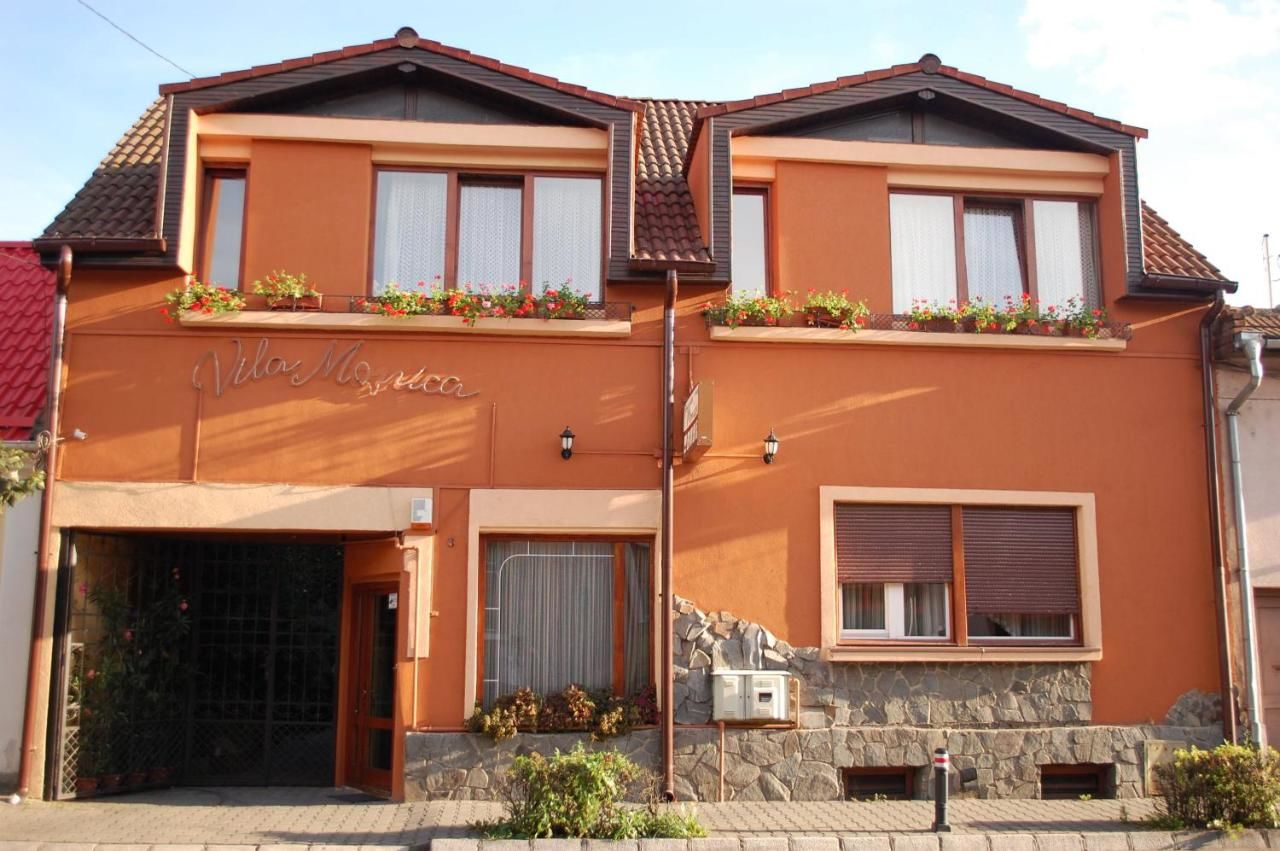 Отели типа «постель и завтрак» Vila Monica Тыргу-Муреш-4