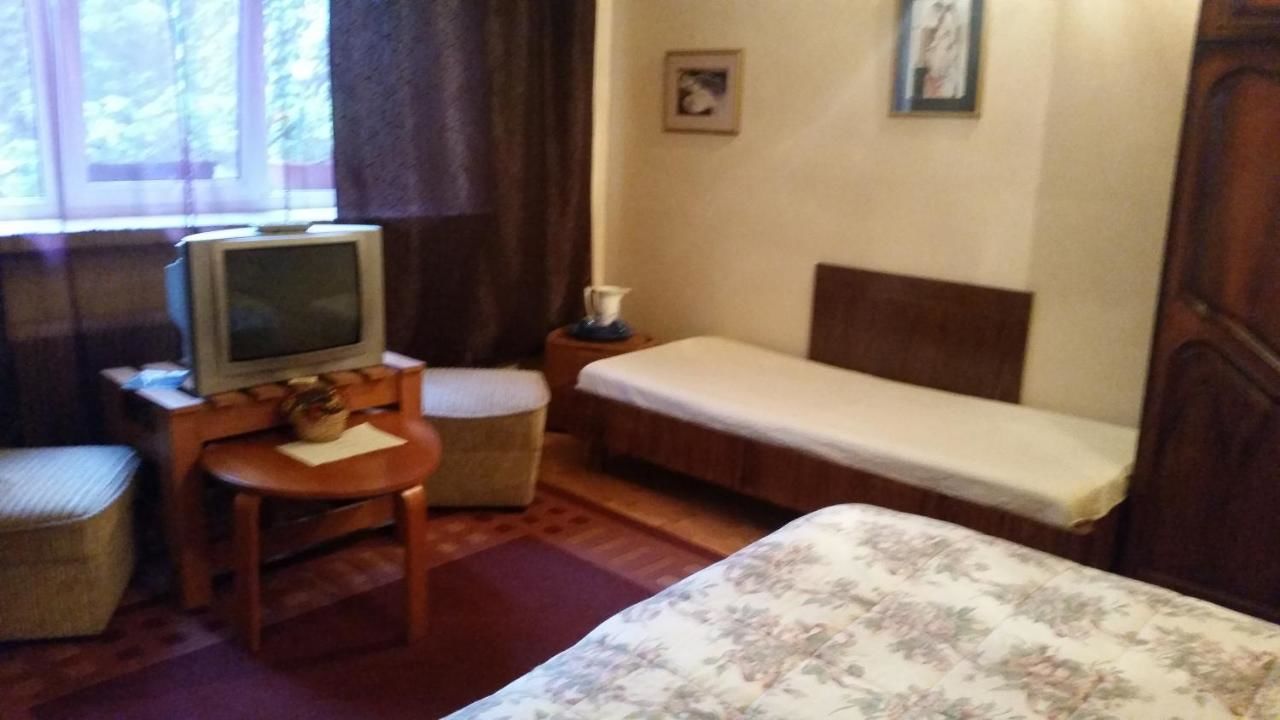 Отели типа «постель и завтрак» Vila Monica Тыргу-Муреш-25