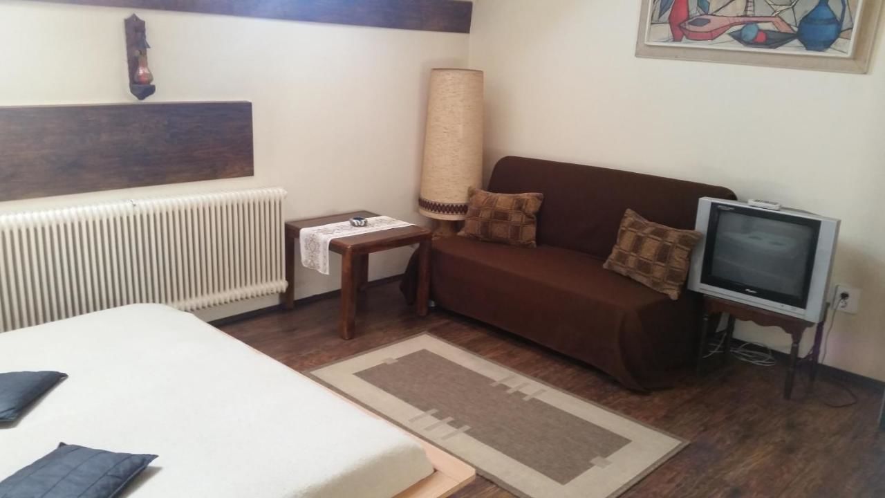 Отели типа «постель и завтрак» Vila Monica Тыргу-Муреш-28