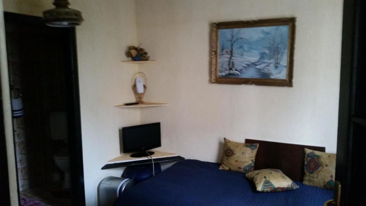 Отели типа «постель и завтрак» Vila Monica Тыргу-Муреш-31