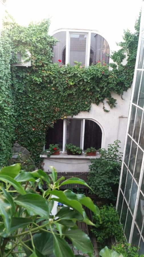 Отели типа «постель и завтрак» Vila Monica Тыргу-Муреш-36