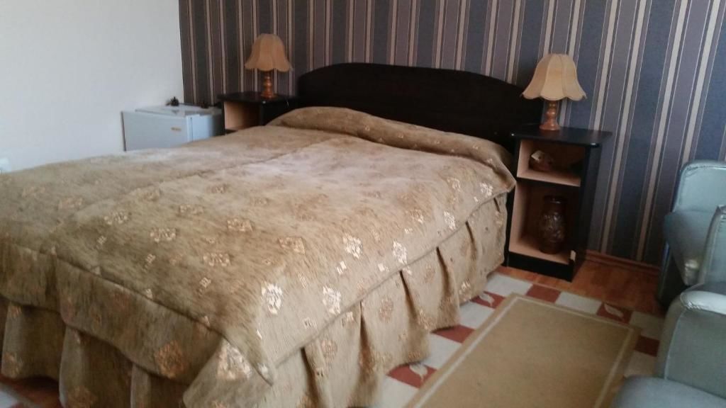 Отели типа «постель и завтрак» Vila Monica Тыргу-Муреш-53