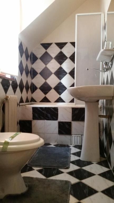 Отели типа «постель и завтрак» Vila Monica Тыргу-Муреш-55
