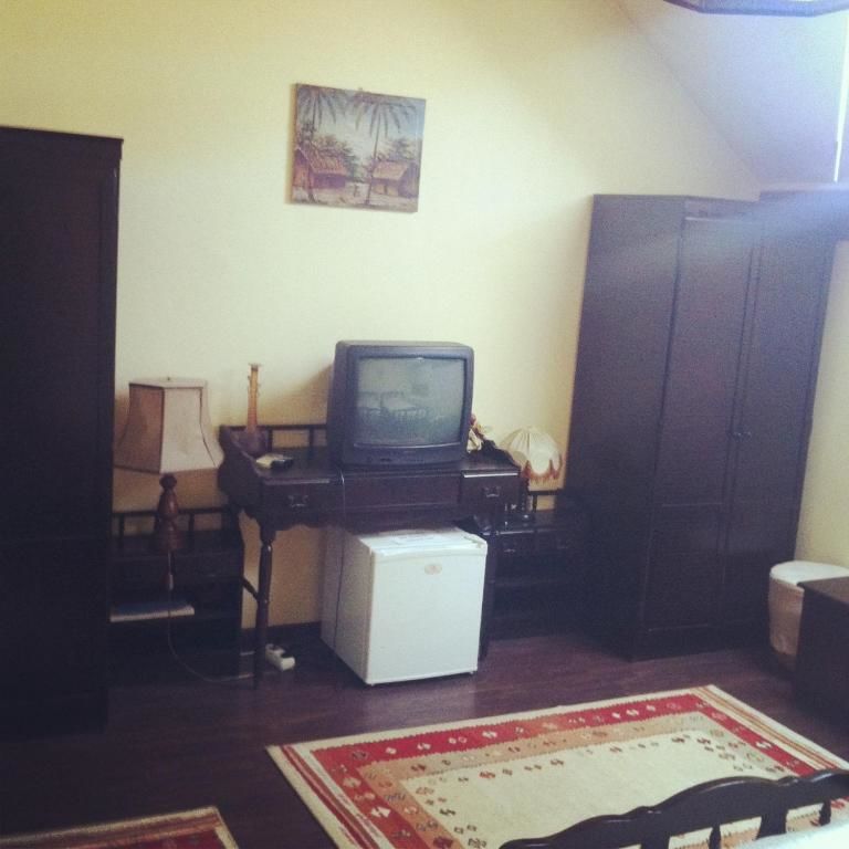 Отели типа «постель и завтрак» Vila Monica Тыргу-Муреш-56