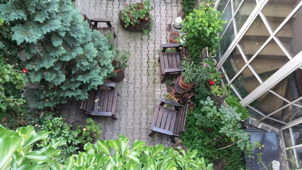Отели типа «постель и завтрак» Vila Monica Тыргу-Муреш-12
