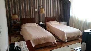 Отели типа «постель и завтрак» Vila Monica Тыргу-Муреш Двухместный номер с 1 кроватью-1