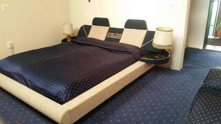 Отели типа «постель и завтрак» Vila Monica Тыргу-Муреш Двухместный номер с 1 кроватью-4