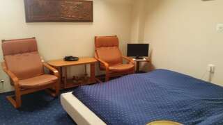 Отели типа «постель и завтрак» Vila Monica Тыргу-Муреш Двухместный номер с 1 кроватью-5