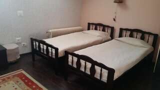 Отели типа «постель и завтрак» Vila Monica Тыргу-Муреш Двухместный номер с 1 кроватью-6