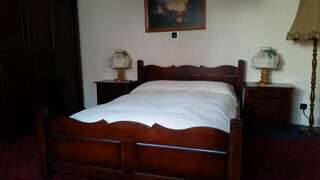 Отели типа «постель и завтрак» Vila Monica Тыргу-Муреш Двухместный номер с 1 кроватью-8