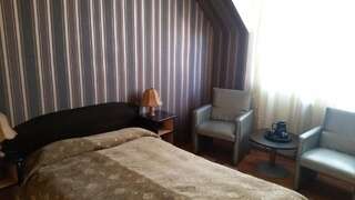 Отели типа «постель и завтрак» Vila Monica Тыргу-Муреш Двухместный номер с 1 кроватью-13