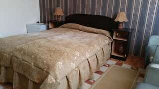 Отели типа «постель и завтрак» Vila Monica Тыргу-Муреш Двухместный номер с 1 кроватью-14