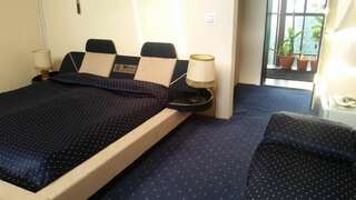 Отели типа «постель и завтрак» Vila Monica Тыргу-Муреш Двухместный номер с 1 кроватью-23