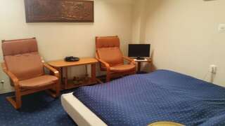 Отели типа «постель и завтрак» Vila Monica Тыргу-Муреш Двухместный номер с 1 кроватью-24