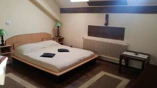 Отели типа «постель и завтрак» Vila Monica Тыргу-Муреш Двухместный номер с 1 кроватью-26